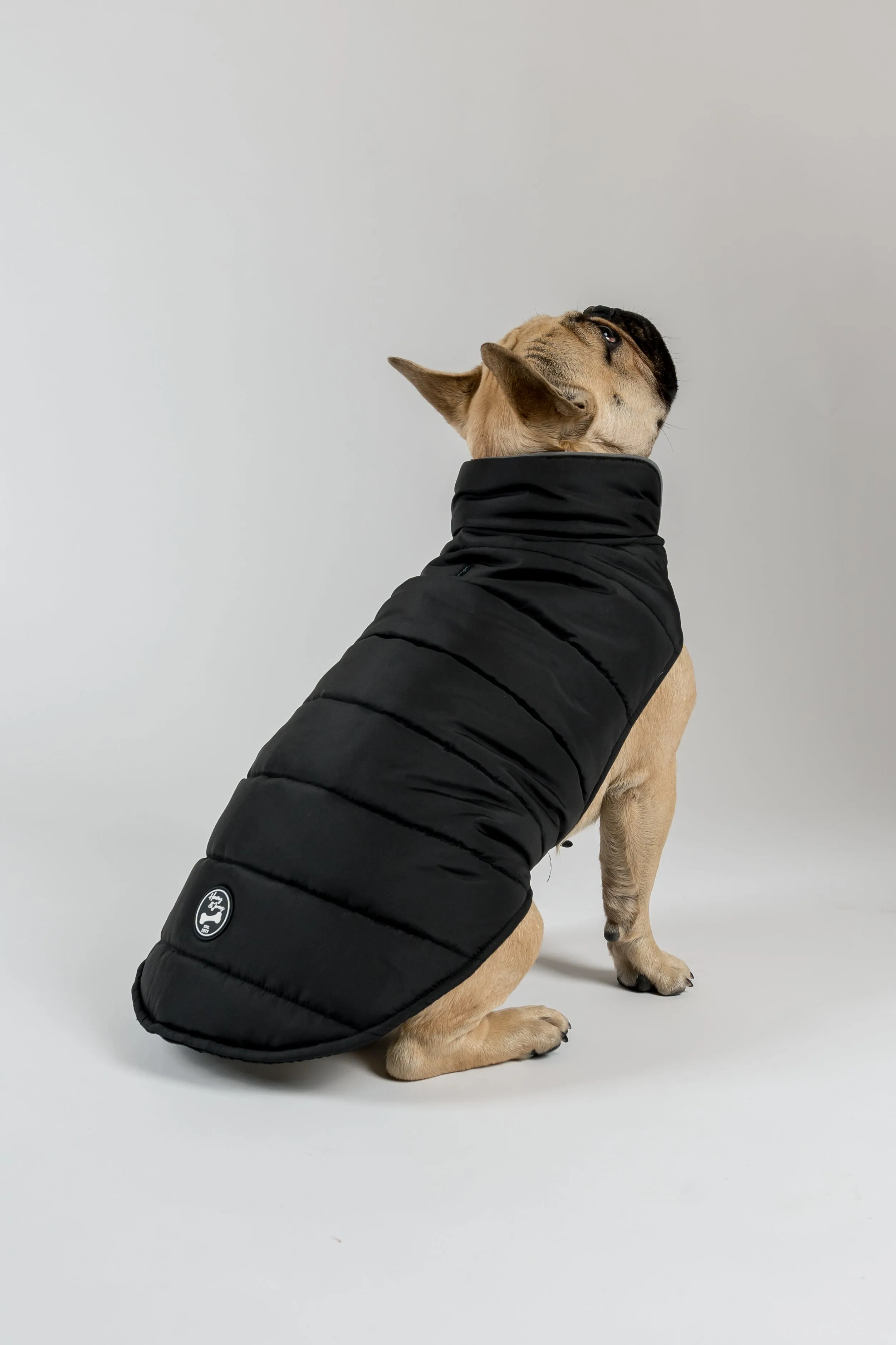 Polly Dog Coat